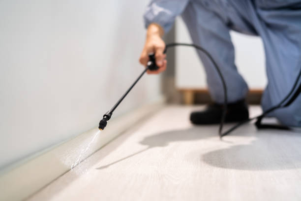 Licensed Pest Control service in Fort Lee, VA - Show Me Pest Control