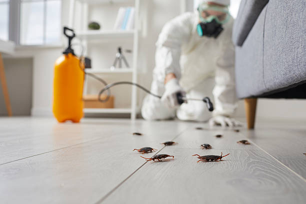 Commercial Kitchen Cockroach Control in Fort Lee